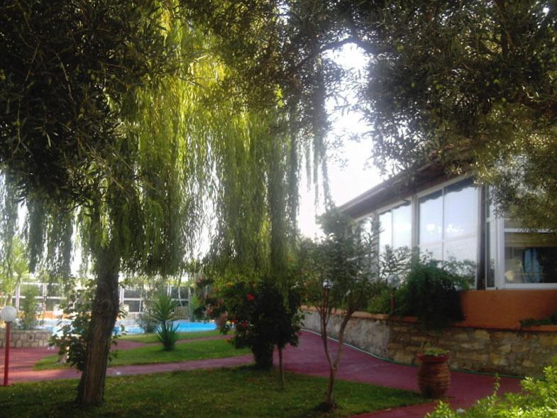 Nea Kydonia Suites & Studios Daratsos Ngoại thất bức ảnh